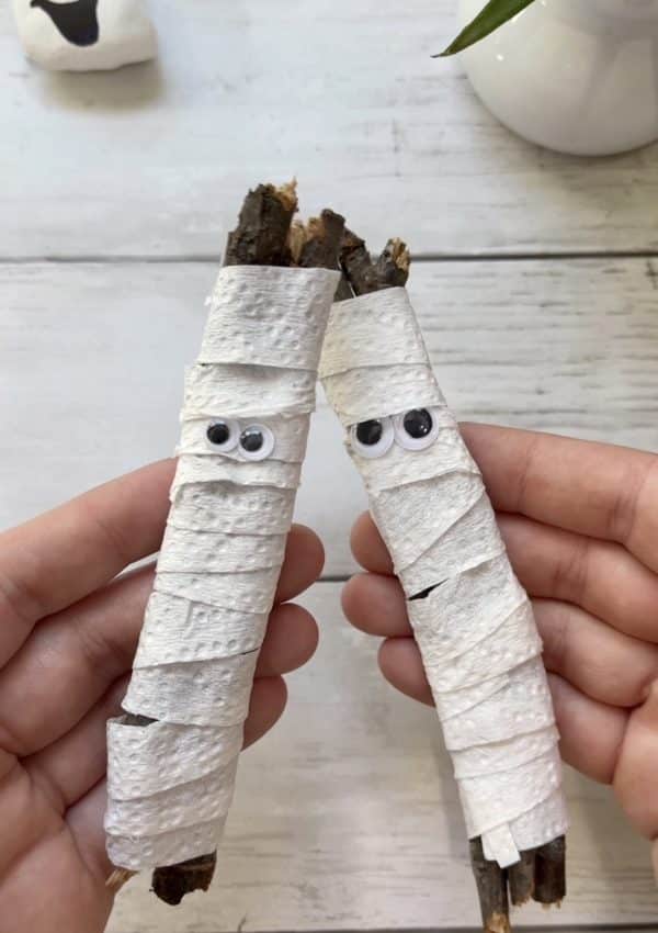 stick mummies